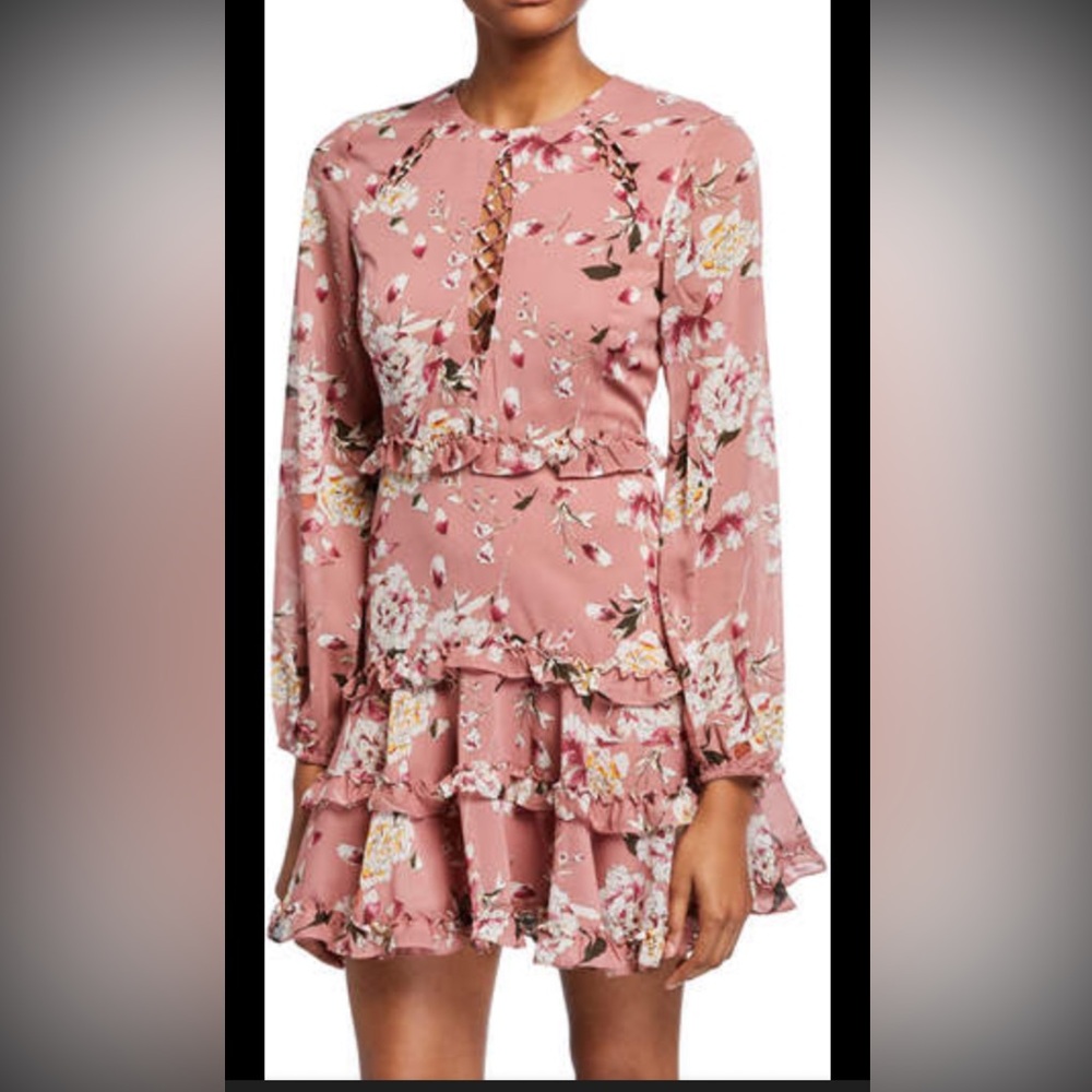 Bardot Hazel Floral Long Sleeve Ruffle Mini Dress Pink Size 8